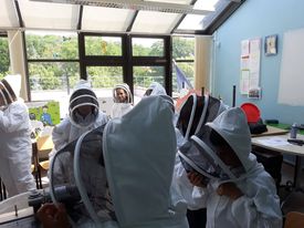 Medobraní 16.6. 2021